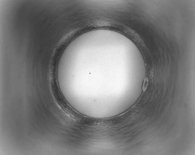 X0000072550732200608111838