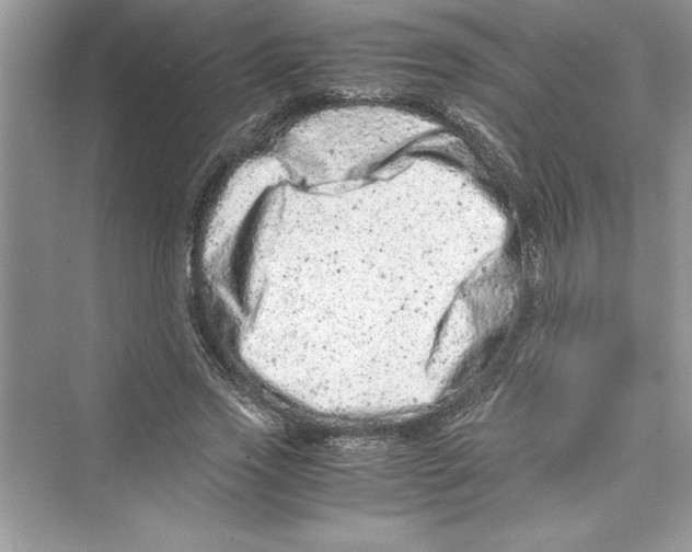 X0000072550733200608111838