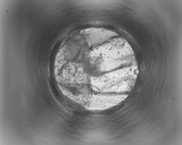 X0000072550734200608111838