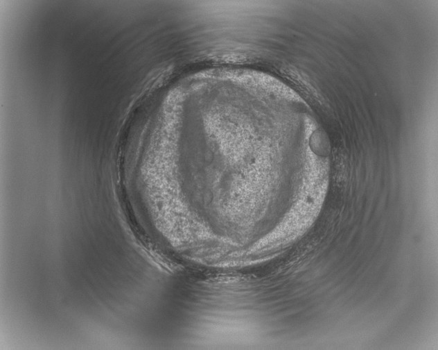 X0000072550738200608111838