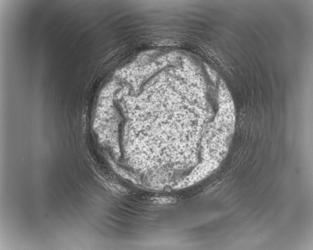 X0000072550741200608111838