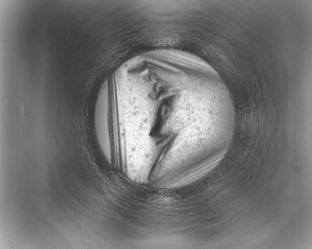 X0000072550743200608111838