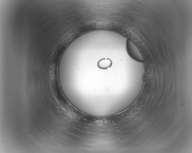 X0000072550744200608111838