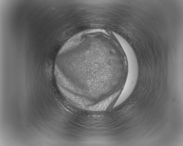 X0000072550745200608111838