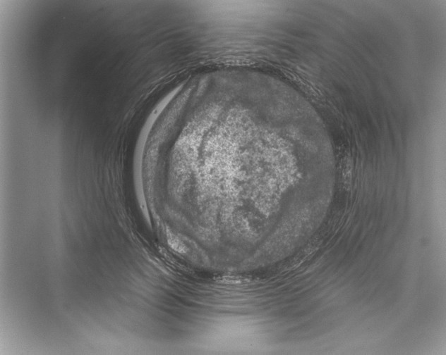 X0000072550746200608111838