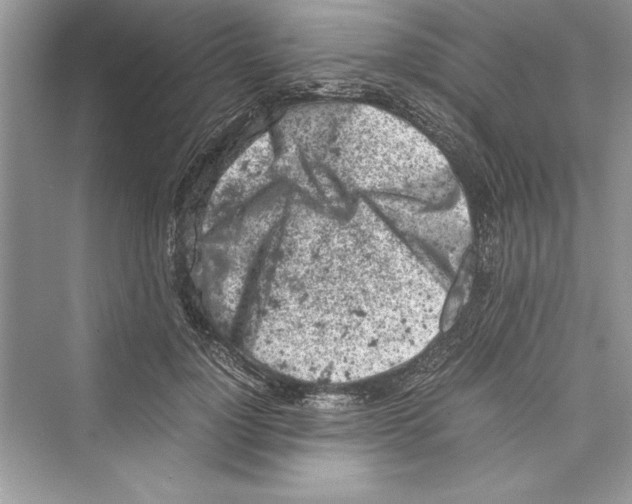 X0000072550748200608111838