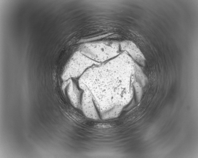 X0000072550749200608111838