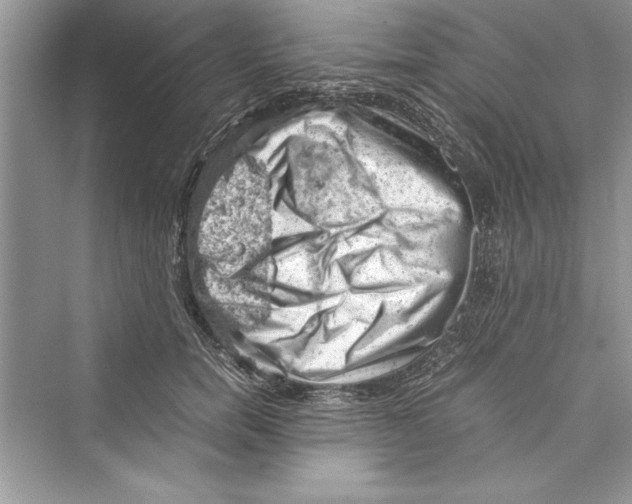 X0000072550750200608111838