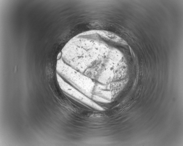 X0000072550751200608111838