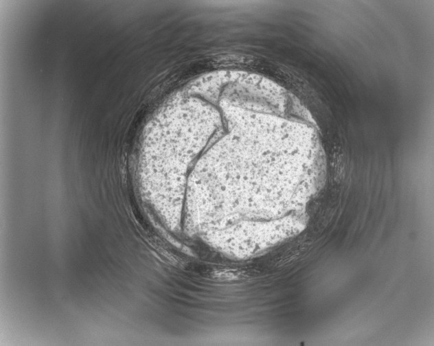 X0000072550753200608111838