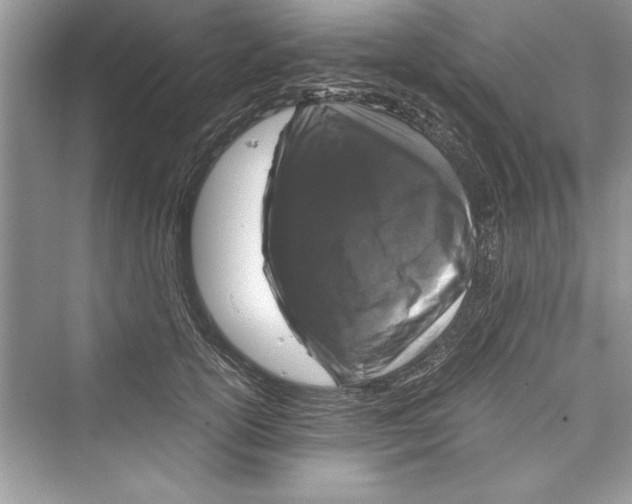 X0000072550754200608111838