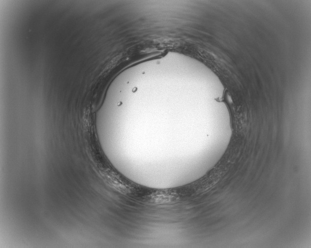 X0000072550756200608111838