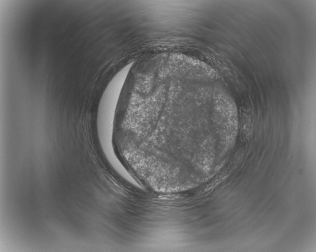 X0000072550758200608111838