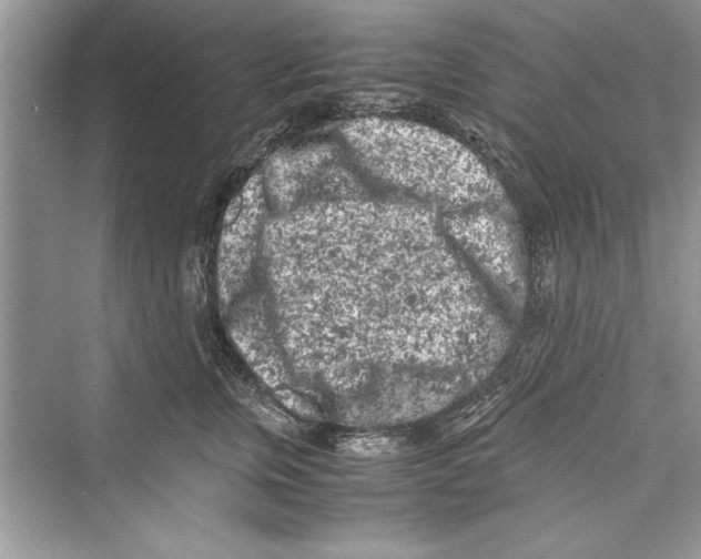 X0000072550759200608111839