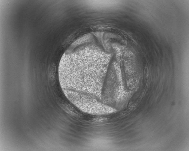 X0000072550760200608111839