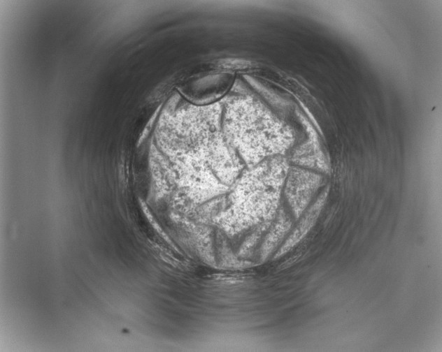 X0000072550763200608111839