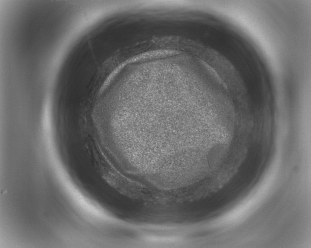 X0000072550765200608111839