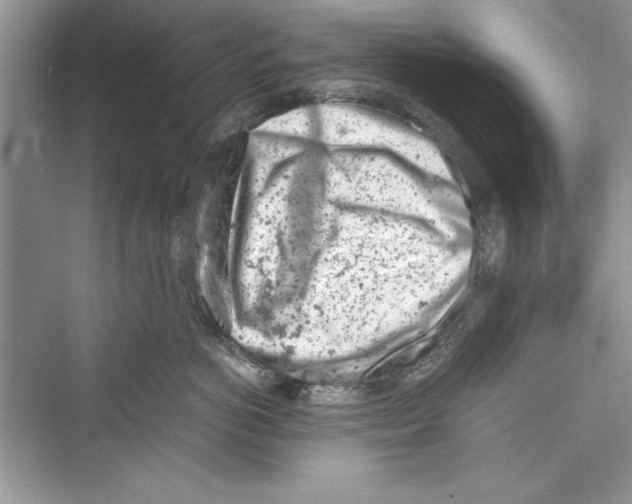 X0000072550766200608111839