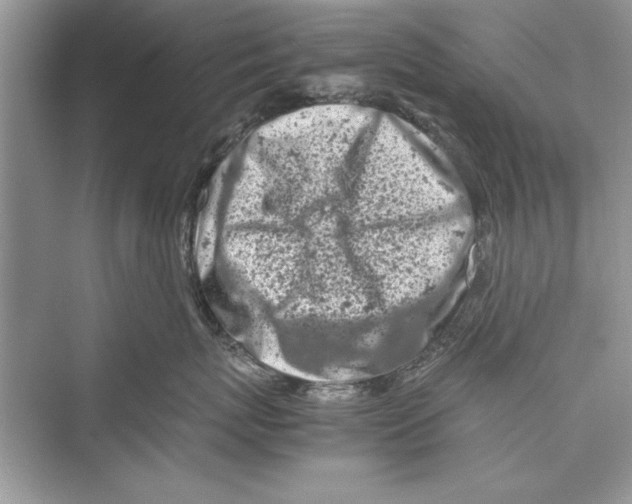 X0000072550767200608111839