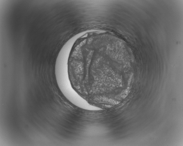 X0000072550768200608111839