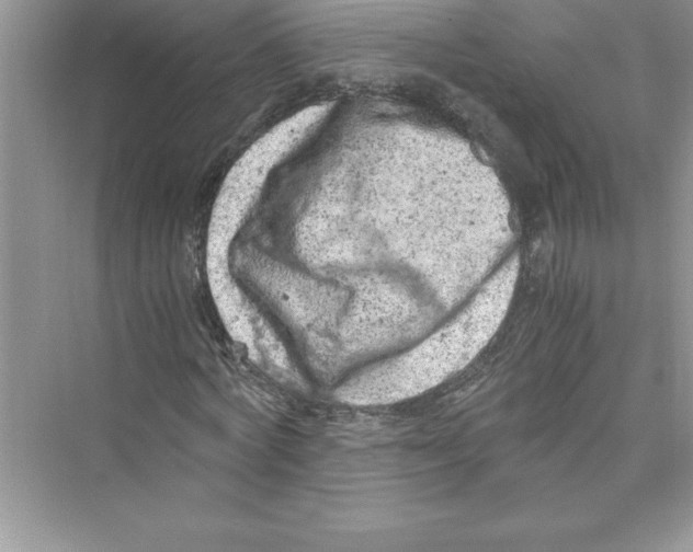 X0000072550772200608111838