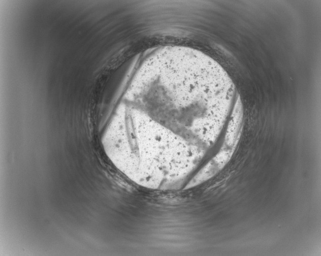 X0000072550774200608111838