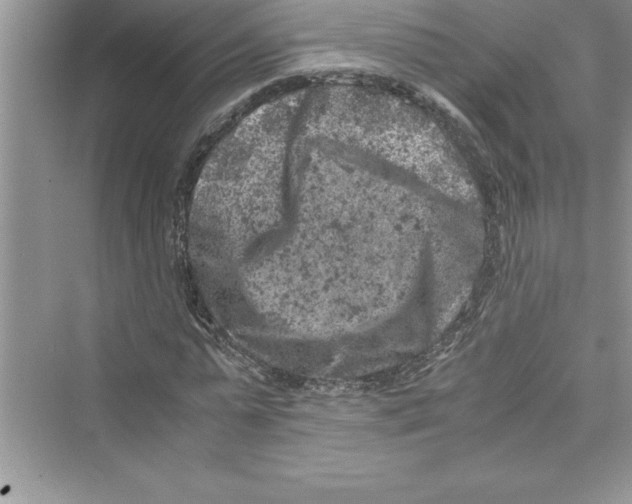 X0000072550775200608111838