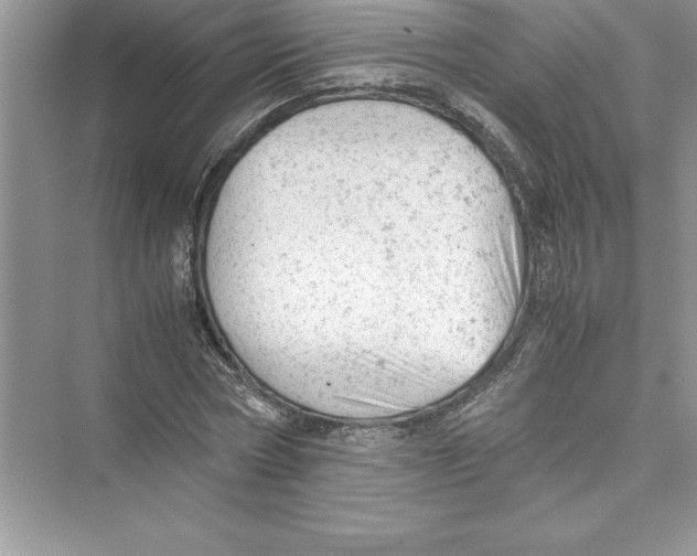 X0000072550778200608111838