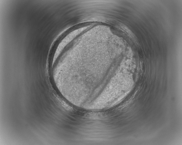 X0000072550780200608111838