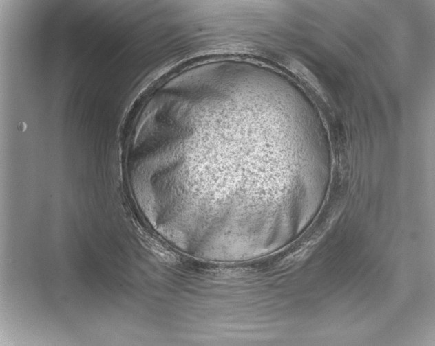 X0000072550781200608111838