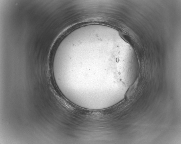 X0000072550784200608111838