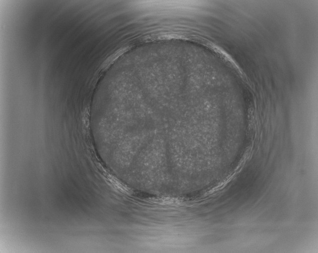 X0000072550785200608111838