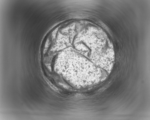 X0000072550787200608111838