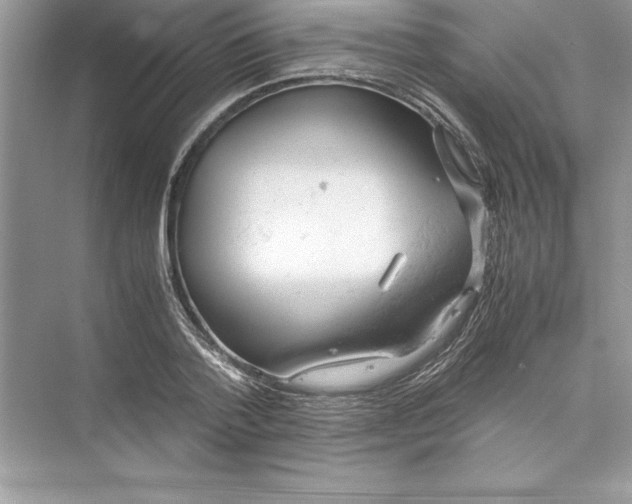 X0000072550788200608111838