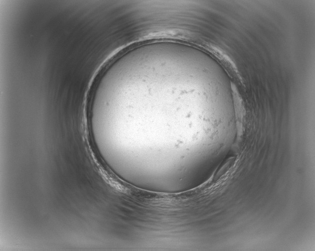 X0000072550792200608111837