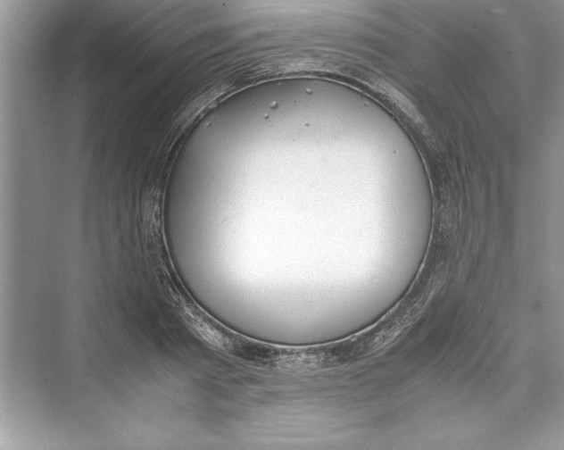 X0000072550793200608111837