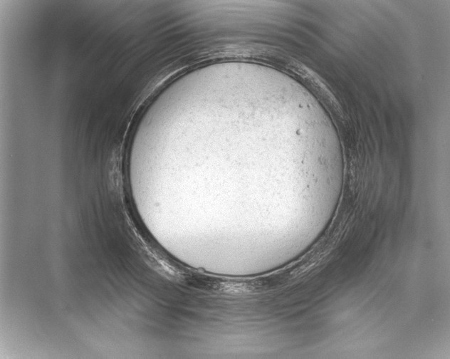 X0000072550794200608111837