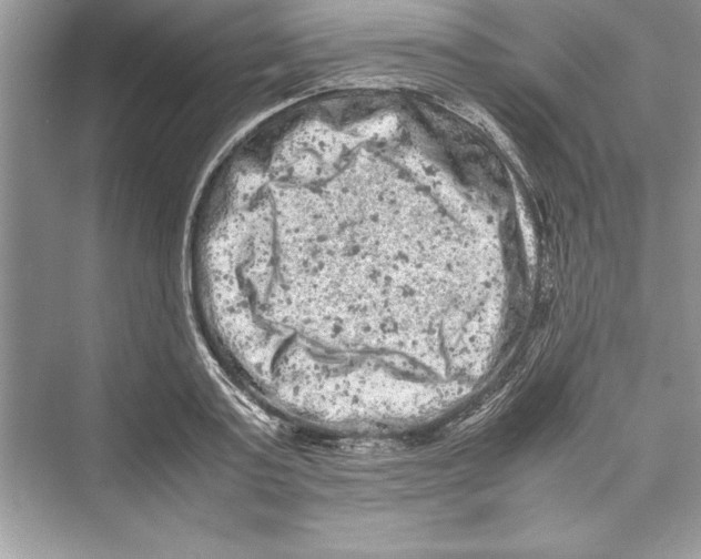 X0000072550795200608111837