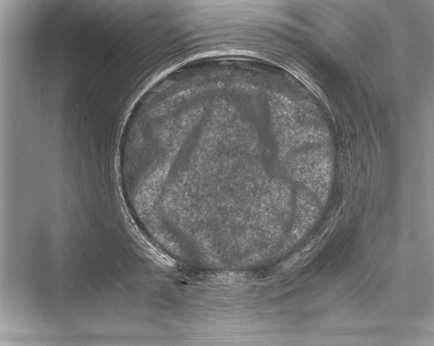 X0000072550797200608111837