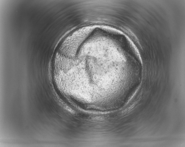 X0000072550798200608111837