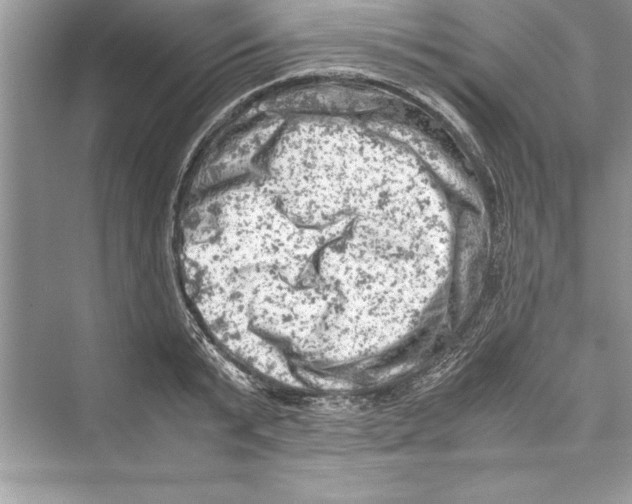 X0000072550799200608111837