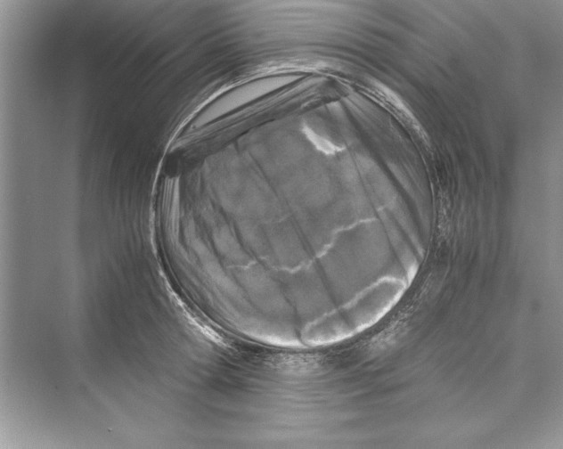 X0000072550802200608111837