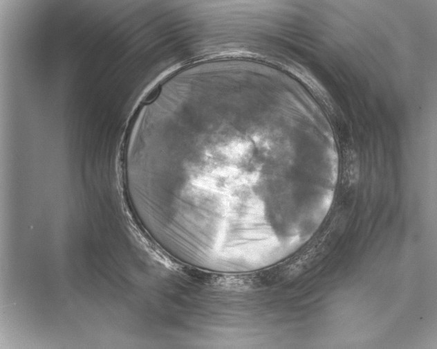 X0000072550806200608111837