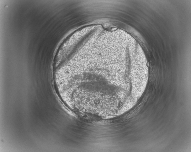 X0000072550808200608111837