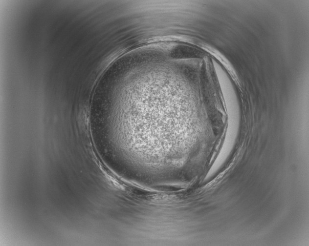 X0000072550809200608111837