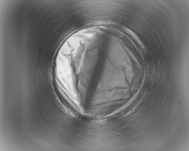 X0000072550810200608111837