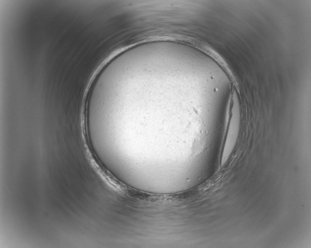 X0000072550811200608111837