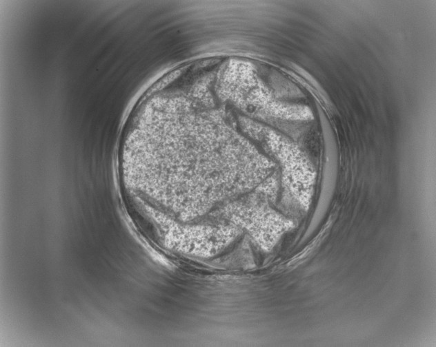 X0000072550812200608111837