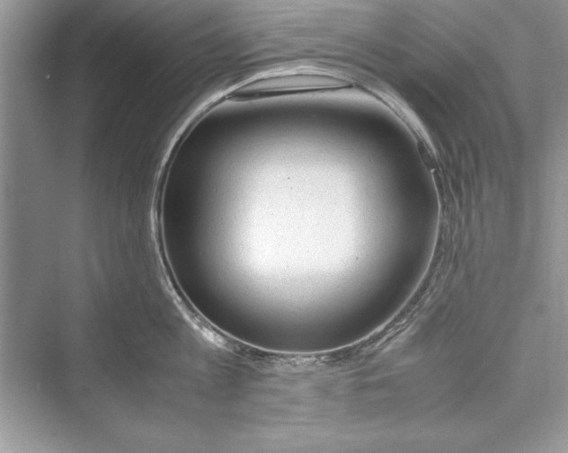 X0000072550813200608111837