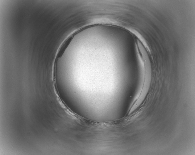 X0000072550815200608111837